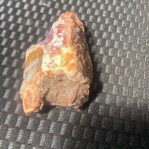 Petrified Wood Specimen – Utah Origin
